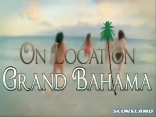 素晴らしい bahama