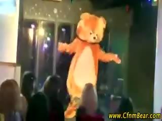 Bailando osos